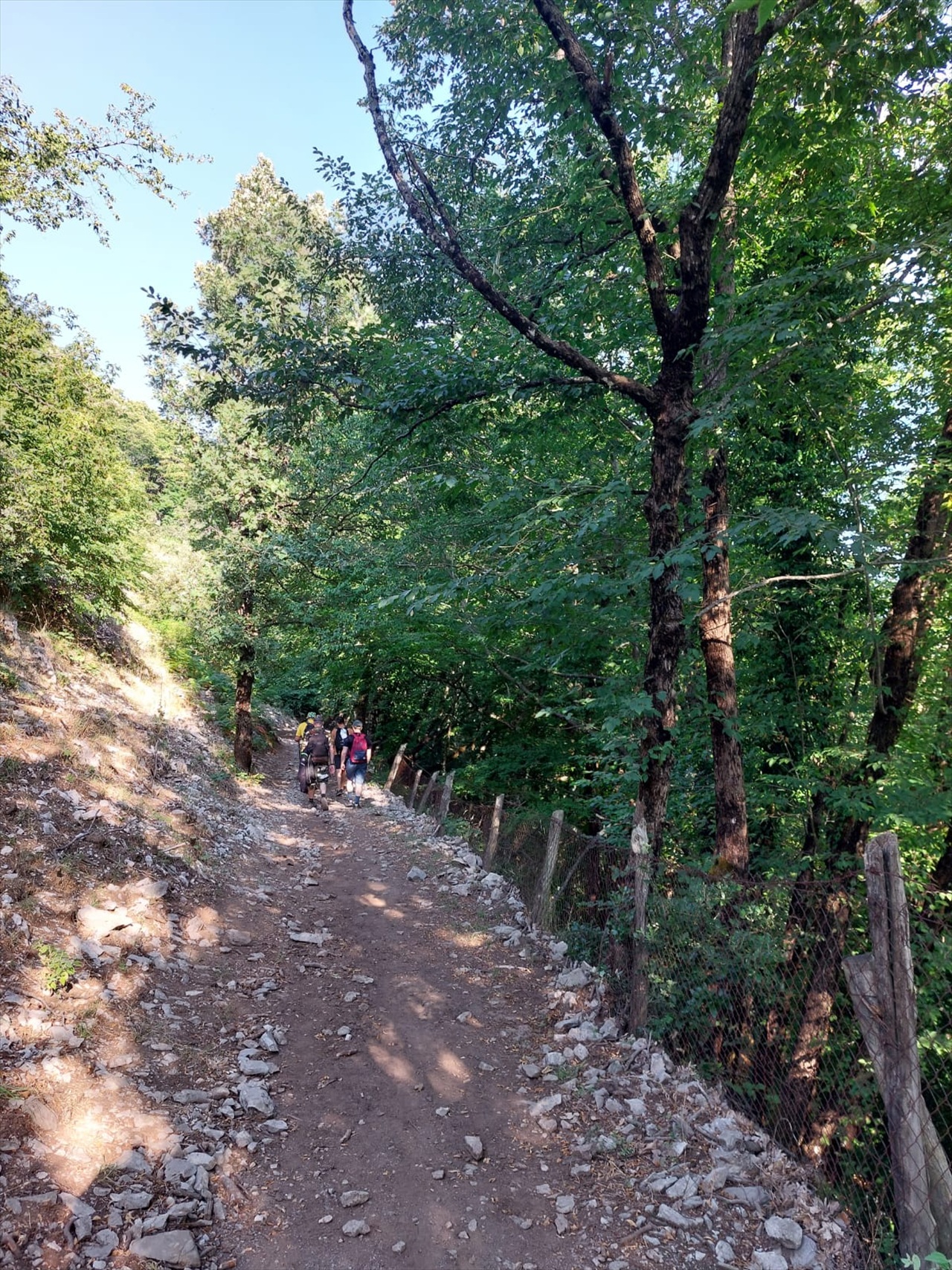 Escursionisti lungo un sentiero nel bosco
